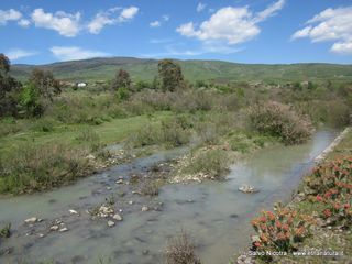Torrente Saracena